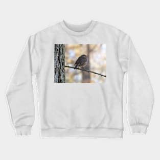 Robin Christmas Card Crewneck Sweatshirt